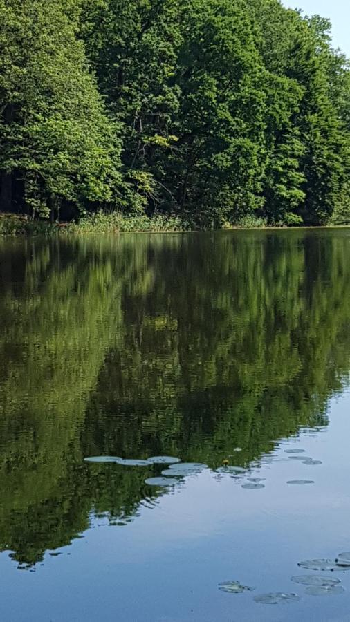 Niebieski Zakatek Wiselka Luaran gambar